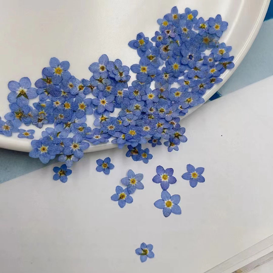 60 шт. миниатюрных сухоцветов  – обзор и цена Resin Craft Ideas