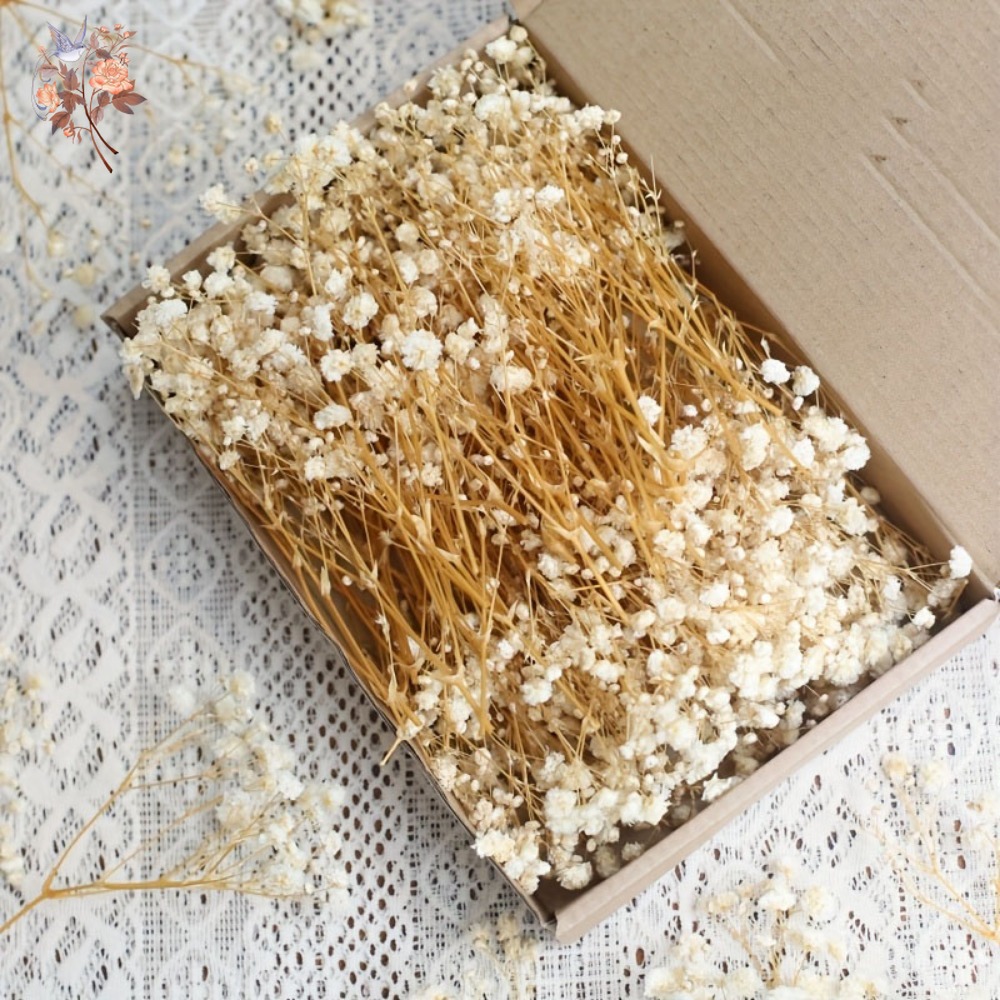 100 шт. миниатюрных сушеных цв – обзор и цена Resin Craft Ideas